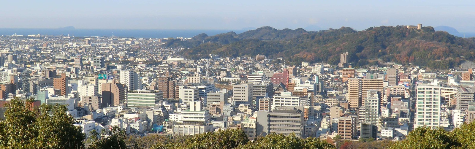 松山総合公園